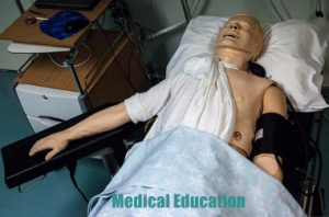 Medical Education