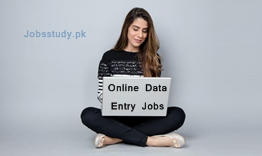Online Data Entry Jobs in Pakistan 2024, Job Description, Kinds, Income, Tips, Risks, FAQs