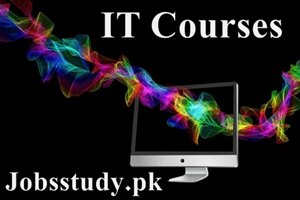 IT Courses